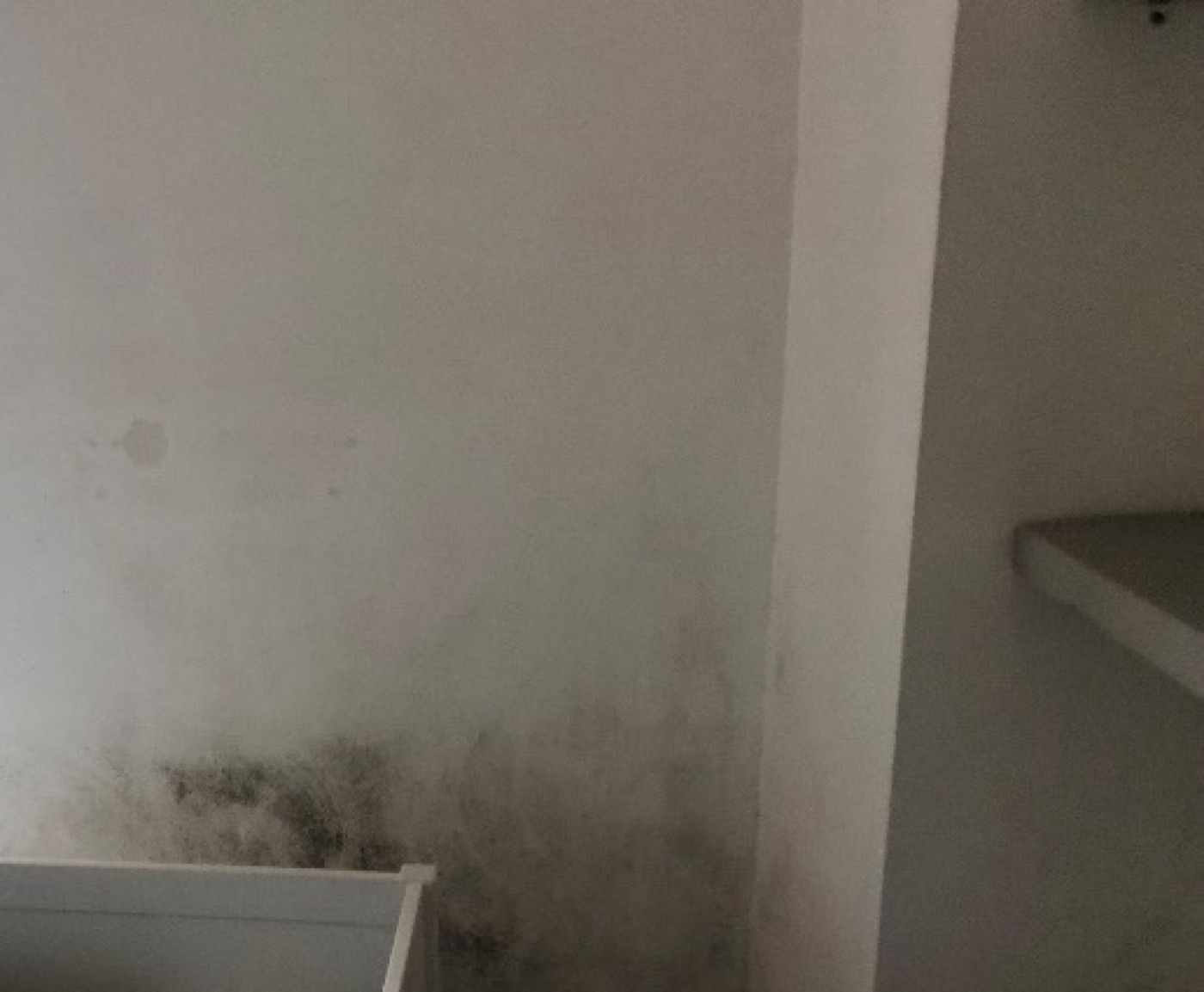 Moisissures en pied de mur et dans une alcôve, appartement expertisé à Beausoleil