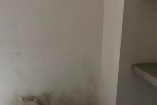 Moisissures en pied de mur et dans une alcôve, appartement expertisé à Beausoleil